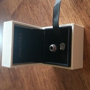 Pandora charm